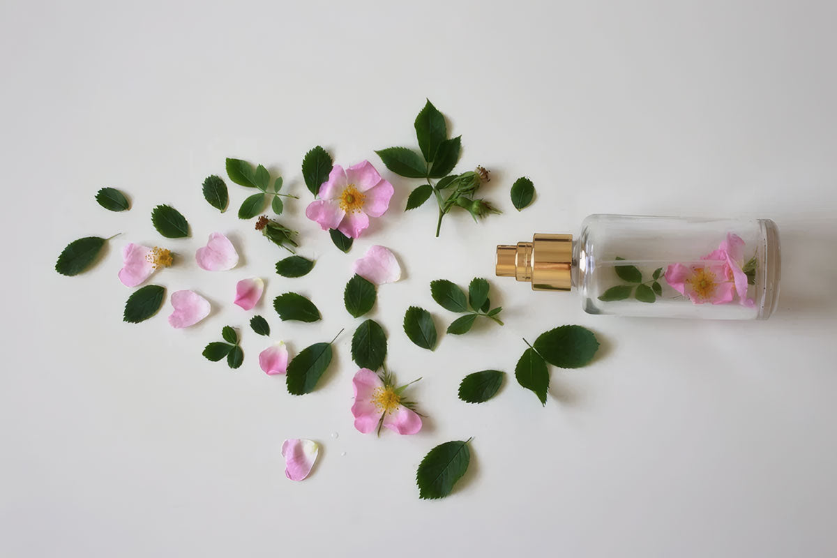 Eau de toilette: cosa è e come utilizzarla - Tre Pi Profumerie