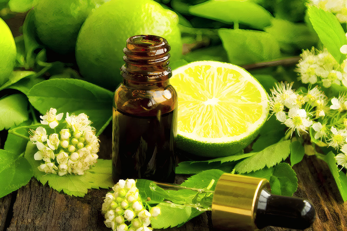 Profumi agrumati femminili freschi