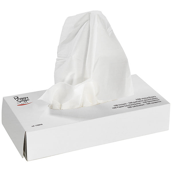 PEGGY SAGE FAZZOLETTINI SCATOLA DA 100 - Tre Pi Profumerie