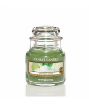 YANKEE CANDLE CANDELA PROFUMATA SMALL VANILLA LIME - Tre Pi Profumerie