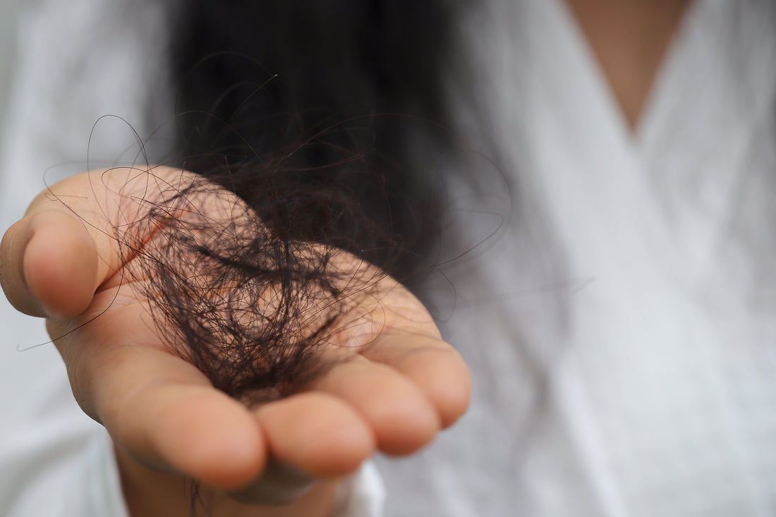 Capelli Dopo Vacanze: Recupero Salute Completo