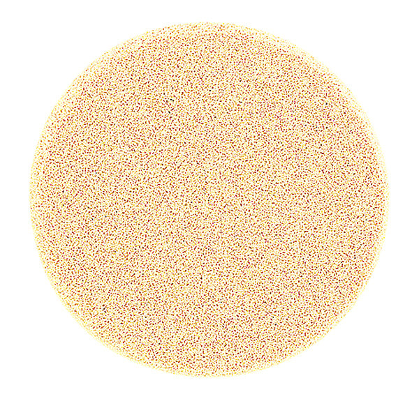 PEGGY SAGE SPUGNA TRUCCO LATTICE X 2 - Tre Pi Profumerie