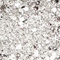PEGGY SAGE PAILLETTE PER UNGHIE SILVER SHIMMER - Tre Pi Profumerie