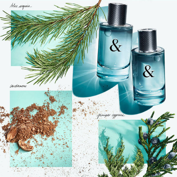 TIFFANY&CO LOVE FOR HIMEDT 90 ML - Tre Pi Profumerie