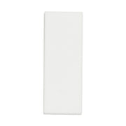 BIFFOLI BUFFER LEVIGANTE UNGHIE 4 LATI 4122 - Tre Pi Profumerie