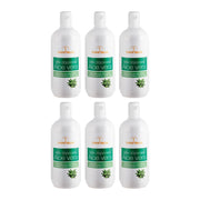 XANITALIA PREMIUM LATTEDOPOCERA ALOE VERA 500 ML - CONF. 6 PZ