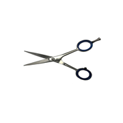 CISEAUX DILUANTS À CHEVEUX POLIS ARGENTA 1 LAME 5,5 PUSH