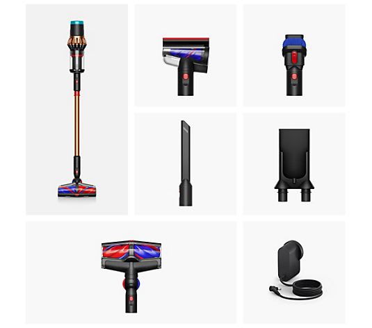 DYSON ASPIRAPOLVERE PISTON ANIMAL DS60