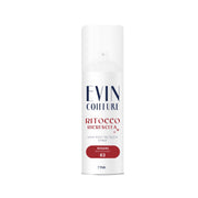 EVIN COIFFURE RITOCCO CAPELLI CASTANO CHIARO 04