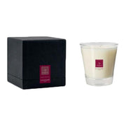 IDEA BELLEZZA HOME CANDELA PROFUMATA LEATHER MUSK - Tre Pi Profumerie