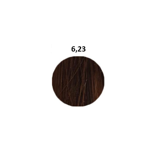 L'OREAL PROFESSIONNEL INOA BIONDO SCURO IRISEE DORATO 6,23