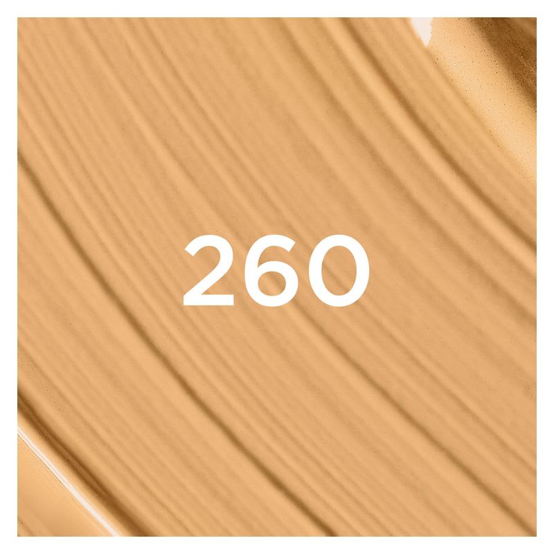 L'OREAL SKIN INK FONDOTINTA E CORRETTORE 2 IN 1 WARM DORE 260