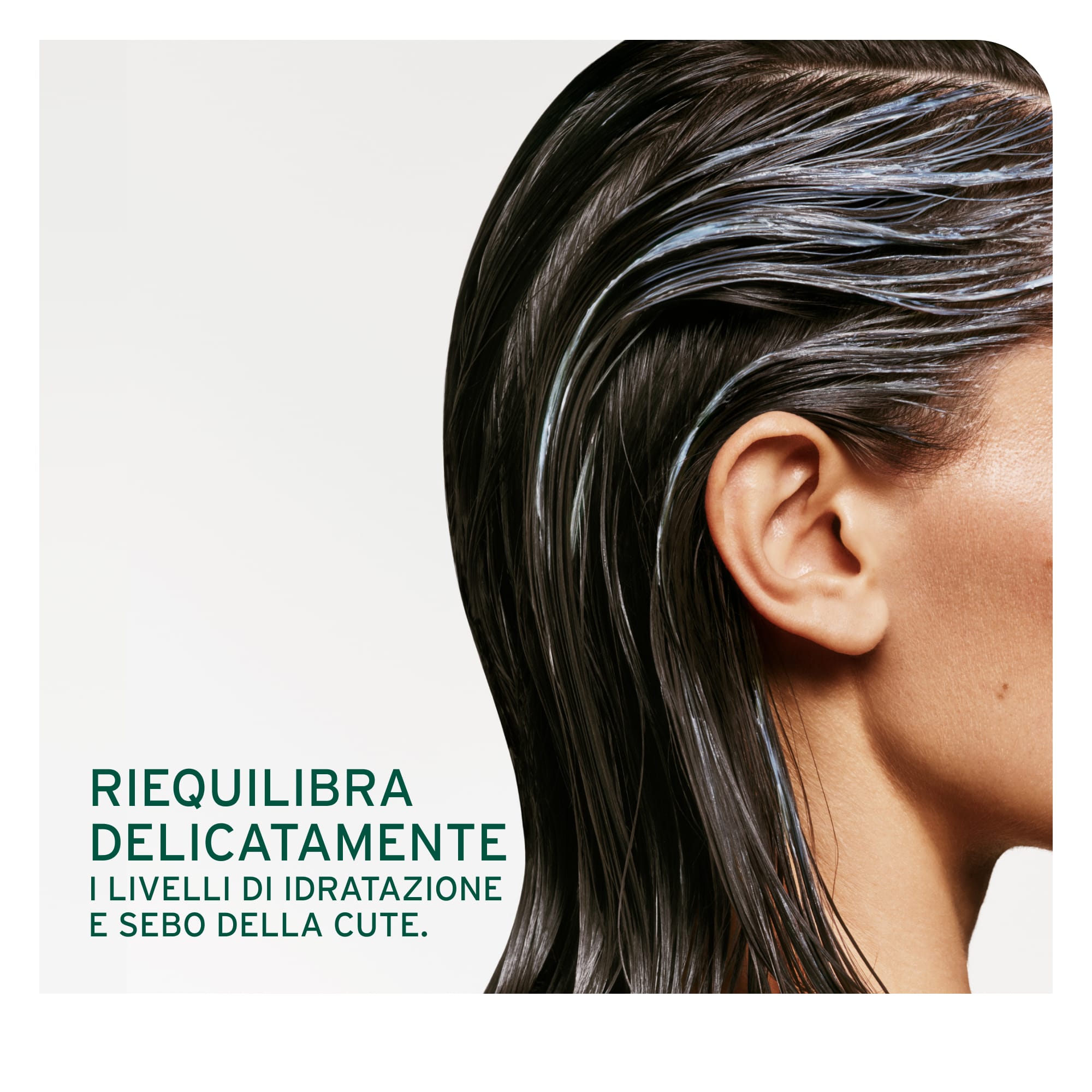 MATRIX BIOLAGE SCALP SYNC PURIFYING SCALP CONCENTRATE IDRATANTE