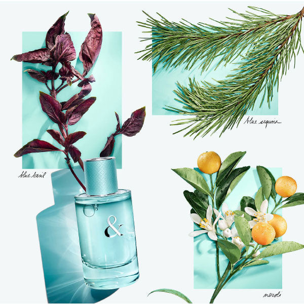 TIFFANY&CO LOVE FOR HEREAU DE PARFUM 90 ML - Tre Pi Profumerie